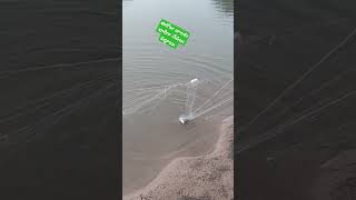 #fishing#shortvideo# వాళ్లకు ఫుల్లు చేపలు పడ్డాయి #@Ansrikavlogs #like #share #subscribe #comment