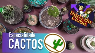 Especialidade de Cactos - Desbravadores