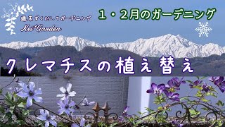 1月・2月のガーデニング/クレマチスの植え替え/クレマチス/北アルプス/50代