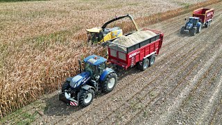 Mais Silage | New Holland FR650 | Van der Woerd | 2022