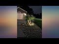 Linkind 16 LEDs Solar Landscape Spotlights, Dusk-to-Dawn IP67 Waterproof Solar review