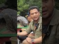 PANJI TEMUI BUAYA RISKA BARENG PAK AMBO !!