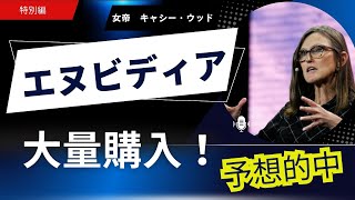 【キャシー・ウッドがエヌビディアを買い増し！】輸出規制・ボラティリティの中でも強気の理由とは？ヘッジファンドの売却…市場の分岐点はどこか？