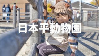 パパとふたりの日本平動物園 2024/12/7