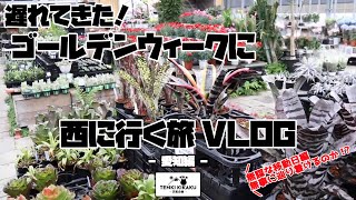 【塊根植物】#125 - 少し遅めのGWに西に行った旅Vlog - 愛知編 -【園芸店巡り】