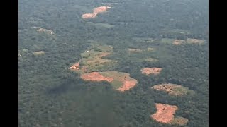 Exigen perseguir a los verdaderos responsables de la deforestación en Colombia