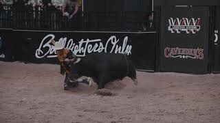 Bullfighters Only X Cavender's