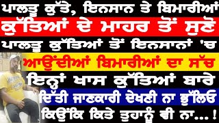 ਕੁੱਤੇ,ਇਨਸਾਨ ਤੇ ਬਿਮਾਰੀਆਂ ਕੁੱਤਿਆਂ ਦੇ ਮਾਹਰ ਤੋ ਸੁਣੋ ਪਾਲਤੂ ਕੁੱਤਿਆਂ ਤੋ ਇਨਸਾਨਾਂ 'ਚ ਆਉਂਦੀਆਂ ਬਿਮਾਰੀਆਂ ਦਾ ਸੱਚ