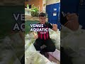 SEMUA ADA DI VENUS AQUATICS