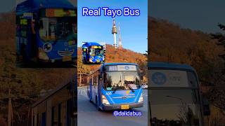 🇰🇷 Seoul Real #TayoBus 💙💙💙 405번 버스