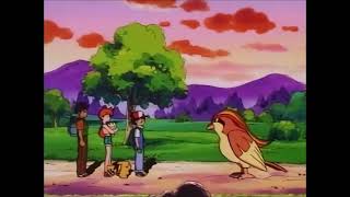 Ash Releases Pidgeot