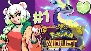 Chat argues about Pokémon games for 6 hours | Pokémon Violet (Part 1)