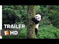 Pandas Teaser Trailer #1 (2018) | Movieclips Indie