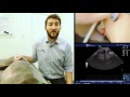 IMV imaging Small Animal Advanced Abdominal Ultrasound Video 9 – Right Limb of the Pancreas