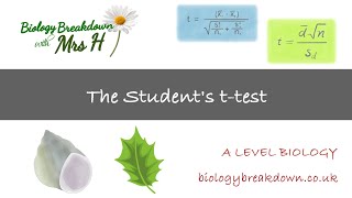 Student's t-test (Paired and Unpaired) - A Level Biology