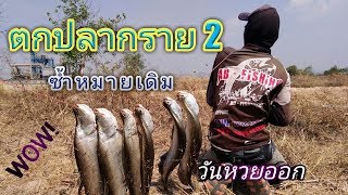 ตกปลากรายด้วยลูกปลา 2 ซ้ำหมายเดิม EP28/AB-fishing Channel