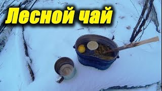 Походная кухня: ЛЕСНОЙ ЧАЙ ИЗ ХВОИ. Пора в Поход