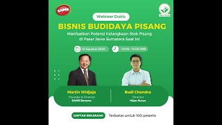 Potensi Cuan dari Bisnis Pisang - Webinar Hijau Surya x Sams Banana