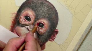 Draw Baby Orangutan Eyes | Pastel Pencil Tutorial