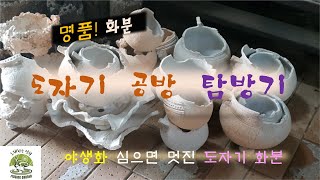 명품, '도자기화분' 공방 탐방기#야생화, 도자기화분 구경하세요