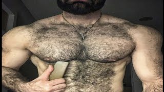 Too much hairy |Beautiful hairy chest bodybuilders|