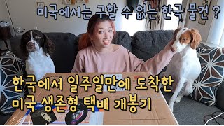 🇺🇸미국 브이로그 | 미국에서 구하기 힘든 한국 물건 | 미국 갈 때 한국에서 챙겨가야 할 것 | 미국 북서부 시골살이