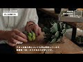 tokyo botanical life vol.17 植物と鉢のイベントやります！ オリジナル鉢と出店者紹介