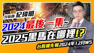 【台股搶先報】2024年12月W5／2024最後一集 2025黑馬在哪裡!?