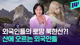 광장시장, 북한산, 광화문? 북적이는 외국인들! 여기, 서울 맞나요?  / 14F