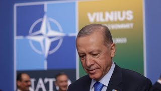 NATO Summit: Sweden Gets a Boost From Turkey