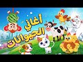أغاني الحيوانات 🐵🐥🐔 | اغاني اطفال دووديز | Doodies