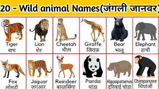 जंगली जानवरों के नाम की सूची अंग्रेजी और हिंदी में। Wild animals names list in english and hindi |