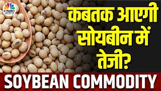 Soybean Commodity Price | मंडियों में सोयबीन की आवक 15% गिरी, क्या रही गिरावट की वजह? | NCDEX