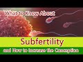 Understanding Sub-fertility and Infertility: Tips to Increase Conception.