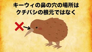 キーウィに関する面白い雑学