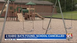 2 Rabid Bats Found, School Cancelled