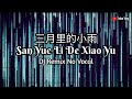 San Yue Li De Xiao Yu 三月里的小雨 - DJ Remix No Vocal