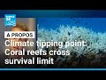 Coral reefs cross survival threshold in Earth’s first major climate tipping point • FRANCE 24