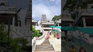 Maruthamalai Pambatti siddhar cave temple | மருதமலை பாம்பாட்டி சித்தர் குகை கோவில்