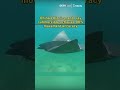 china s bionic manta ray submersible achieves 90% movement accuracy