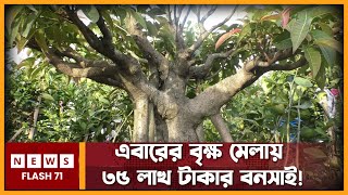 এবারের বৃক্ষমেলায় বাংলাদেশের সবচেয়ে পুরাতন বনসাই | Brikkha Mela 2022 | Newsflash71