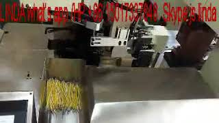 全自动双头双线端子机  fully automatic 2 cable 2 heads terminal crimping machine