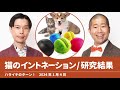 猫のイントネーション 研究結果【ハライチのターン！】2024年1月4日