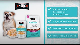 Dog has a Sensitive Tummy? Introduce them to this! | KOHA Bland Diet Wet \u0026 Dry Dog Food