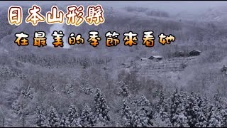 阿信的故鄉 果然冰天雪地 | 台灣蘋果日報