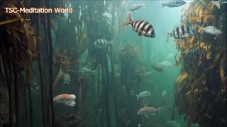 Beautiful Coral Reef Fish Relaxing Ocean Fish & Stunning Aquarium Relax Music