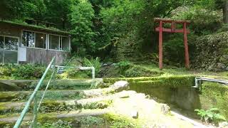 かじかの鳴き声、初夏の出水市かじか荘にて