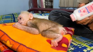 Dad takes special care of IChi monkey to avoid diaper rash