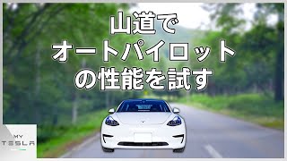 山道の急カーブでテスラのオートパイロットを試す【森に迷い込む】