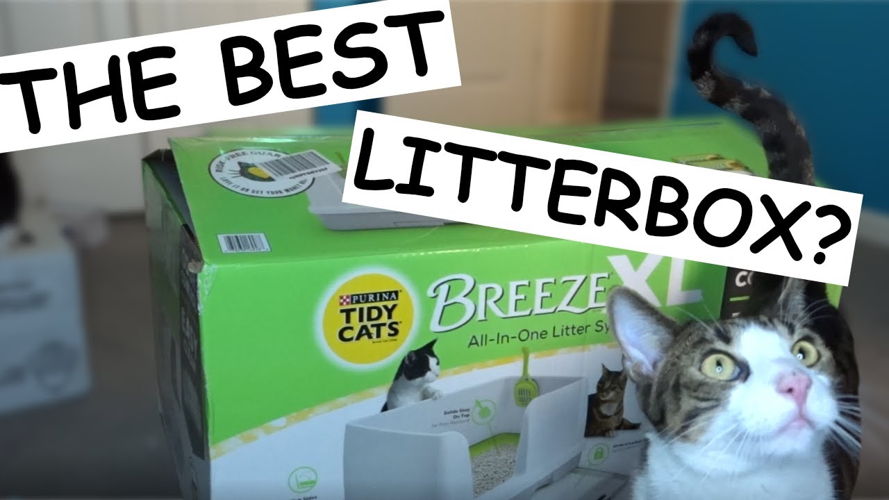 TIDY CATS BREEZE LITTER BOX REVIEW - YouTube